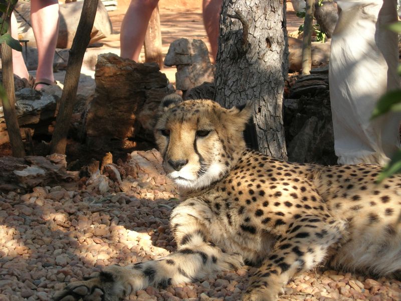 situs judi bola online